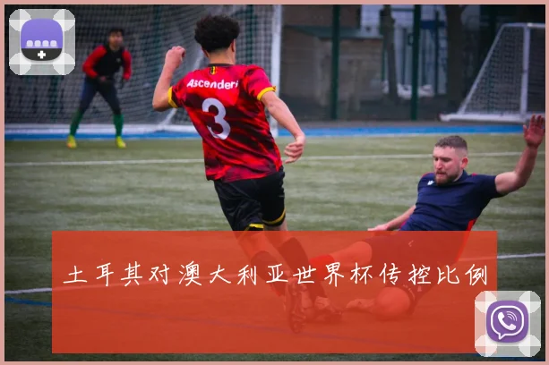 土耳其对澳大利亚世界杯传控比例