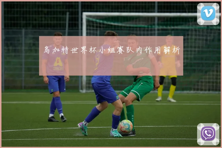 乌加特世界杯小组赛队内作用解析