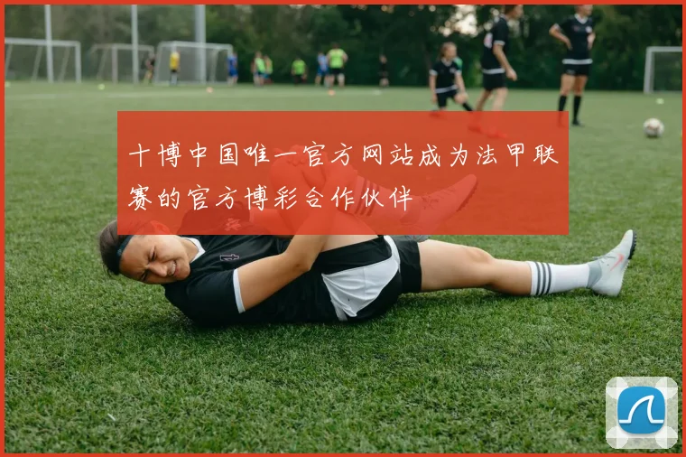 十博中国唯一官方网站成为法甲联赛的官方博彩合作伙伴