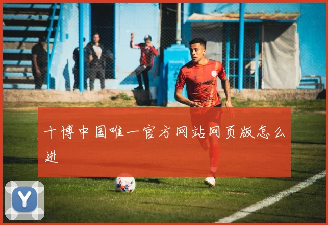十博中国唯一官方网站网页版怎么进